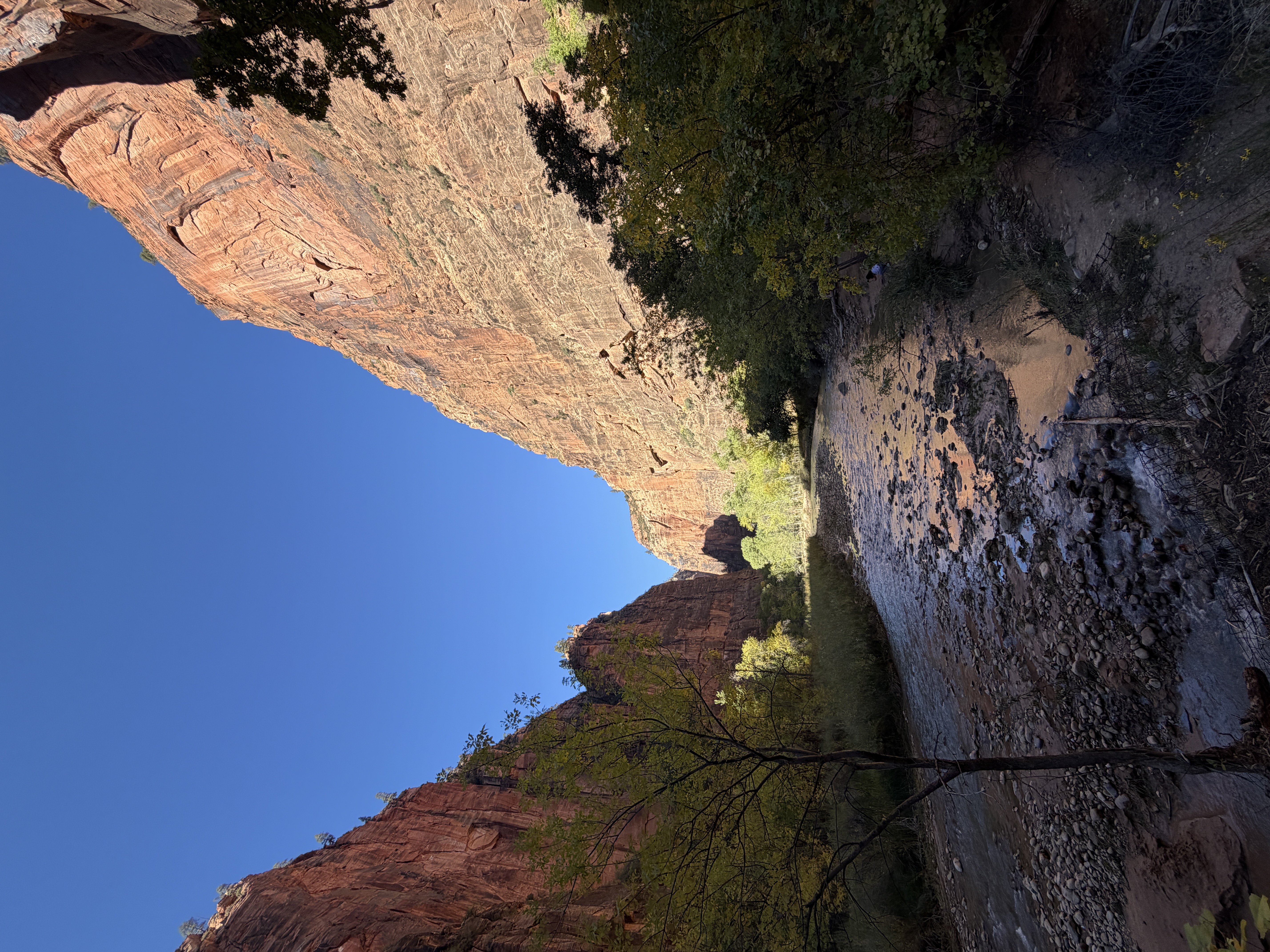 Hiking in Zion